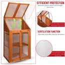 Samuel Alexander Wooden Mini Greenhouse Cold Frame - Small Greenhouse H120 x W69 x D49cm