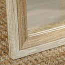 HOMCOM Full Length Mirror, Standing Leaning Wall, 163 X 53 Cm