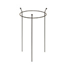 Small 60cm x 35cm Heavy Duty Black Steel Herbaceous Garden Plant Support Ring