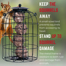 Wild Bird Fat Ball Feeder with Squirrel Guard