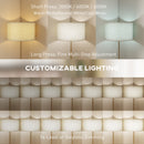 HOMCOM Dimmable Floor Lamp, Standing Lamp With Adjustable Colour Temperature