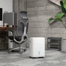 HOMCOM 30L/Day Dehumidifier For Home, With Auto-Clean Filter, 24H Timer