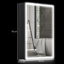 HOMCOM Bathroom Cabinet With Mirror, LED Lights And Demister Pad, Black