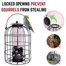 Wild Bird Hanging Nut Feeder with Squirrel Guard