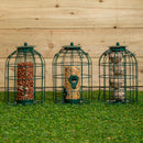 Samuel Alexander Pack of 3 Hanging Nut Seed & Fat Ball Bird Feeders with Squirrel Guard