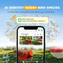 PawHut Smart Bird Feeder Camera With AI Identifies 16,000+ Bird Species