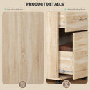 HOMCOM Pedestal Office Mobile Filing Cabinet 2 Drawer