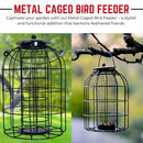Samuel Alexander Pack of 3 Hanging Nut Seed & Fat Ball Bird Feeders with Squirrel Guard