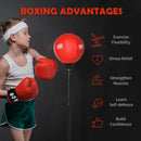 HOMCOM Boxing Punchbag Set
