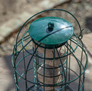 Samuel Alexander Metal Hanging Bird Fat Ball Feeder with Squirrel Guard & Pack of 6 Suet Fat Balls