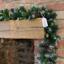 270cm X 25cm Samuel Alexander Frosted Glacier Christmas Garland With Pine Cones