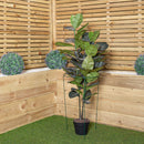 Tom Chambers Urban Metal Herbaceous Garden Plant Support Ring Large 40cm x 60cm