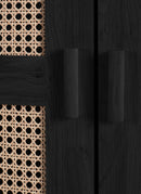 Sydney 2 Door Wardrobe - Black Ash