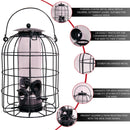 Wild Bird Hanging Nut Feeder with Squirrel Guard