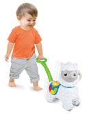 Winfun Push Along Little Alpaca