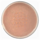 Technic Mineral Foundation Beige