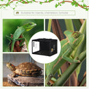 Reptile Box