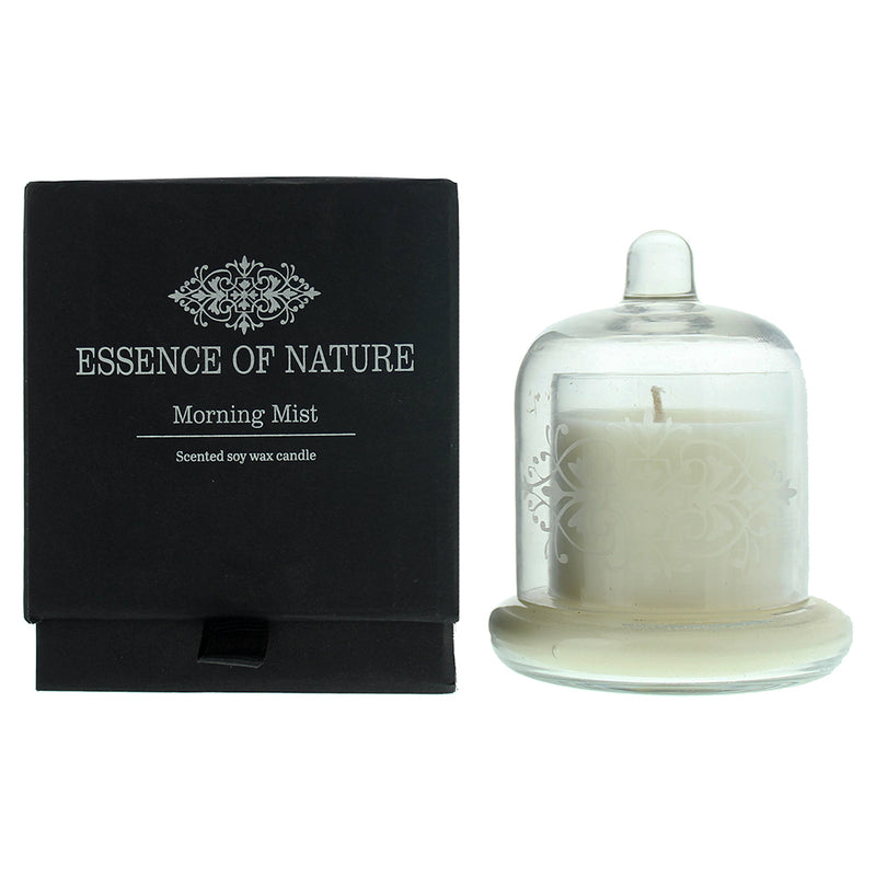 Liberty Candle Essence Of Nature Morning Mist Candle 4.5oz