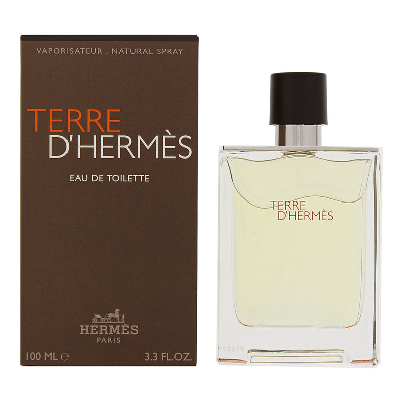 Hermès Terre D'hermès Eau De Toilette 100ml For Him