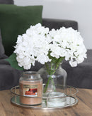 Homestead Candle 18oz Glass Jar Bubble Lid - Cinnamon Apple