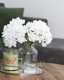 Homestead Candle 18oz Glass Jar Bubble Lid - Melon Medley