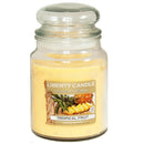 Liberty Candle 18oz Glass Jar Bubble Lid - Tropical Fruit