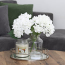 Homestead Candle 18oz Glass Jar Bubble Lid - Coconut