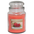 Homestead Candle 18oz Glass Jar Bubble Lid - Strawberry