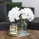 Homestead Candle 18oz Glass Jar Bubble Lid - Pina Colada