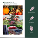 Outsunny PVC Greenhouse Tunnel Steel Frame Transparent 250x100x80cm