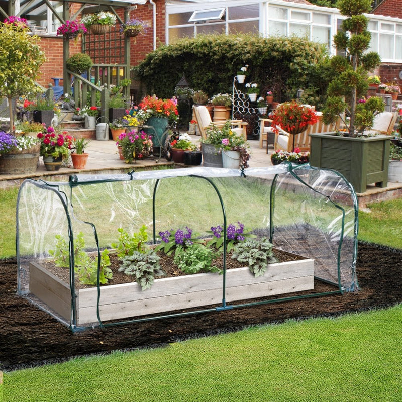 Steel Frame Transparent PVC Cover Greenhouse