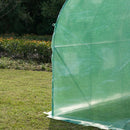 4m x 2m Walk-in Tunnel Greenhouse with Windows and Door