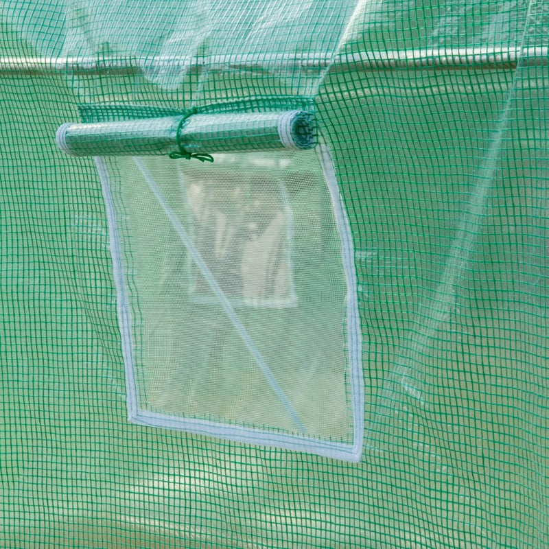 4m x 2m Walk-in Tunnel Greenhouse with Windows and Door
