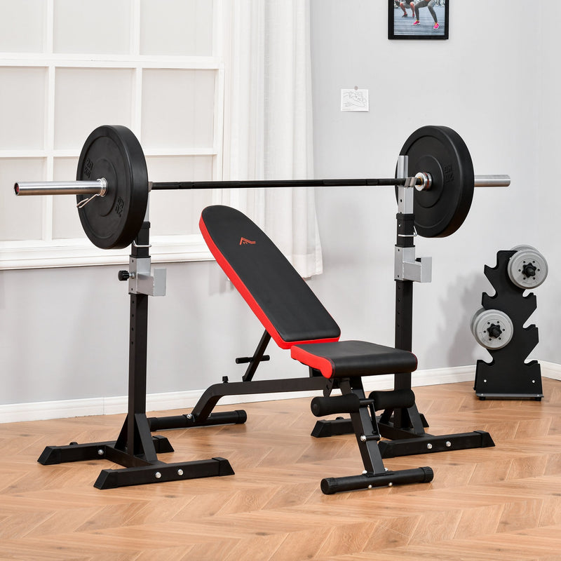 Multifunctional Sit-Up Dumbbell Bench Adjustable Backpad & Seat Foldable Design Exercise Machine for Home, Office, Gym, Black