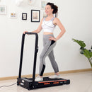 Steel Folding Motorized Home Treadmill w/ LCD Monitor-Black