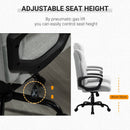 Vinsetto High Back Executive Chair Ergonomic Task Seat Home Office Swivel  Computer Chair for Sturdy with Padded Armrests, Adjustable Height, Light Grey Home