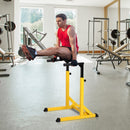 Dip Station, 66Wx75Dx83-119H cm