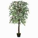 Outsunny Artificial Ficus Silk Tree With Nursery Pot, Decorative Fake Plant, For Indoor Outdoor Decor, 160cm In Pot