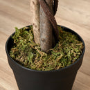 Outsunny Artificial Ficus Silk Tree With Nursery Pot, Decorative Fake Plant, For Indoor Outdoor Decor, 160cm In Pot
