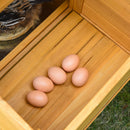 PawHut Deluxe 168cm Chicken Coop