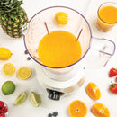 Quest Nutri-Q Food Processor with Coffee Grinder