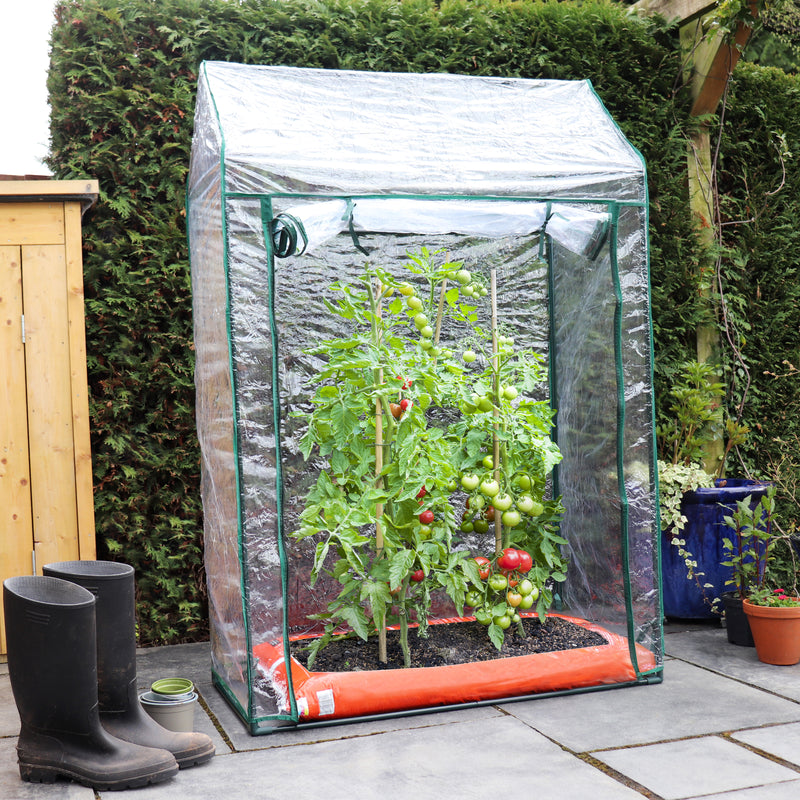 Kingfisher Tomato Greenhouse 150 x 100 x 50cm Clear
