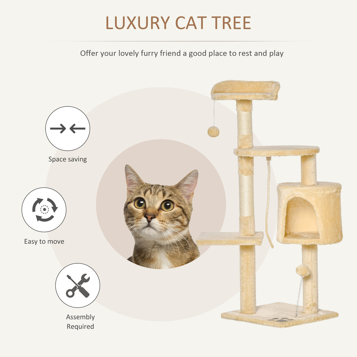 Lidl cat post sale