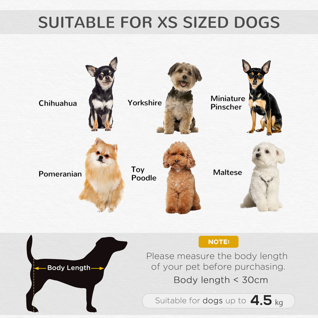 Chihuahua Length Chihuahua Body Types Lily Long-hair