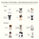 PawHut Raised Dog Bowls Pet Feeder Elevated Double Stainless Steel Water White