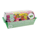 Bee Friends Butterfly Garden Starter Kit