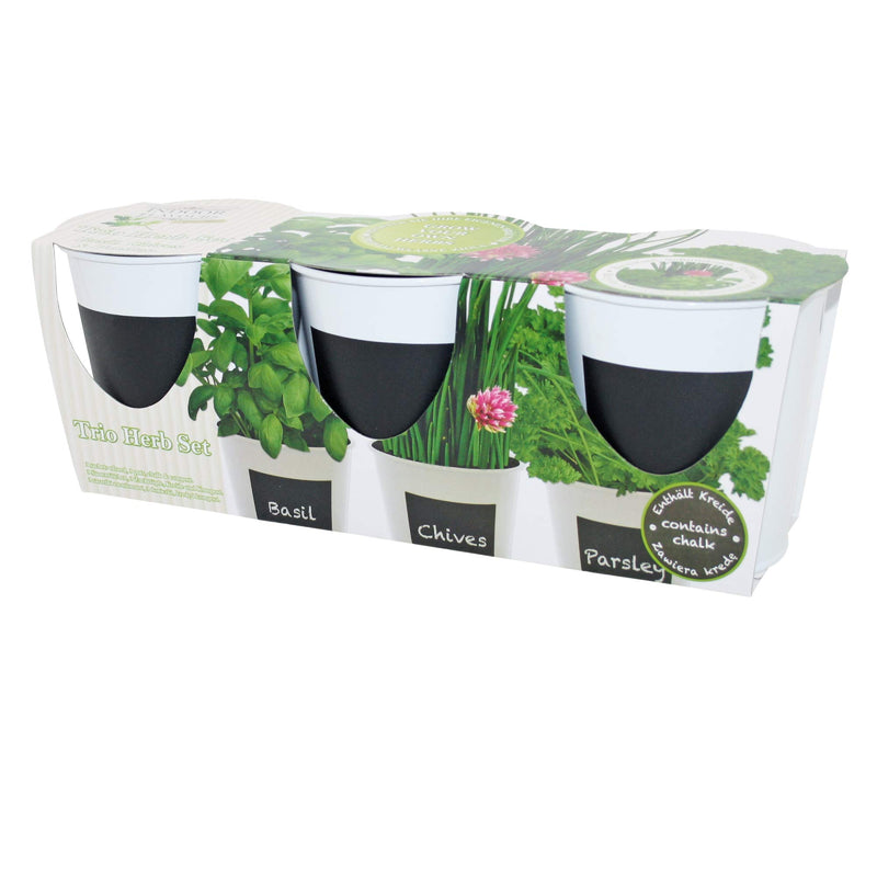 Indoor Flavour Trio Herb Set with Chalk