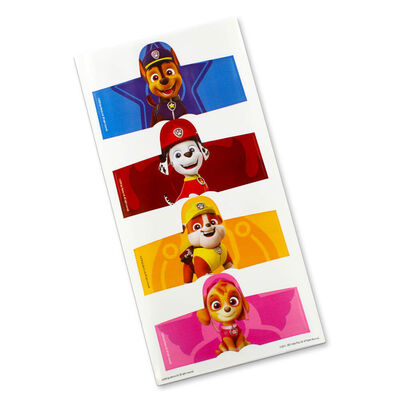 Paw Patrol Fancy Dress Station Dough Play Set
