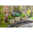 Forest Garden York Hexagonal Planter - Set of 3