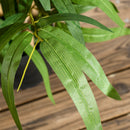 HOMCOM Potted Artificial Plants Bamboo Tree for Desk Indoor Outdoor, 60cm